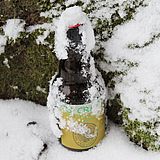 Bierflasche vor mossbewachsenem Baustamm im Schnee